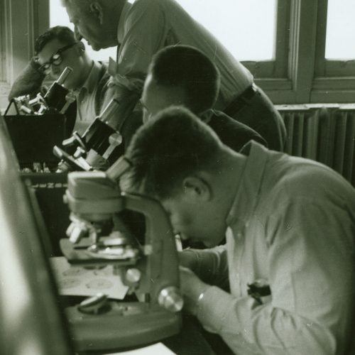 Dr. Shankweiler with students in a lab, circa 1960